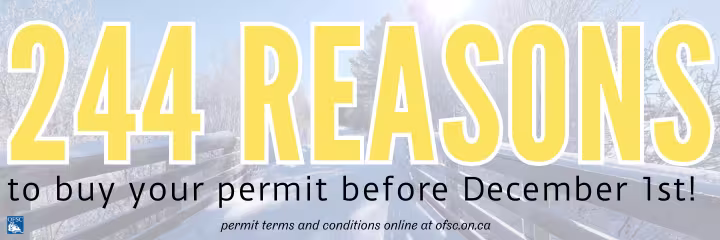 244 Reasons to Buy Your Permit Before December 1st