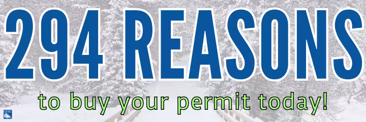 294 Reasons to Buy Your Permit