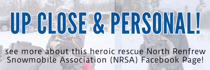 Wildlife Encounters 214 Reasons